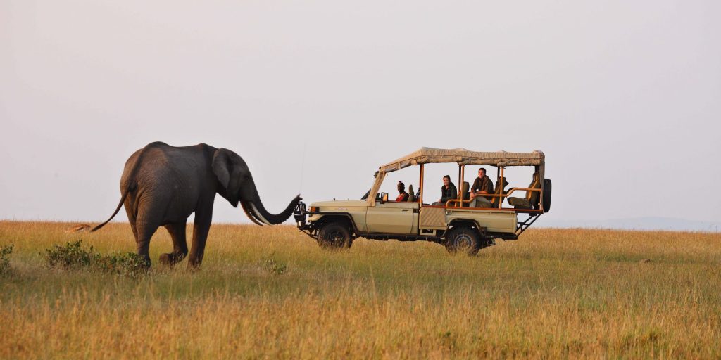 When is the Best Time to Go for a Game Drive Safari in Uganda?
