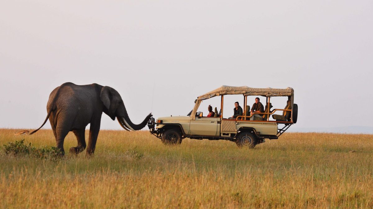 When is the Best Time to Go for a Game Drive Safari in Uganda?