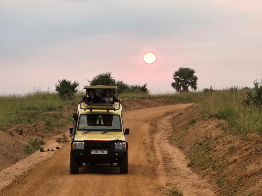 What Animals Can I Expect to See on a Game Drive in Uganda? 